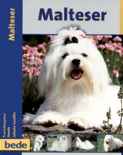 Malteser, Praxisratgeber Pets