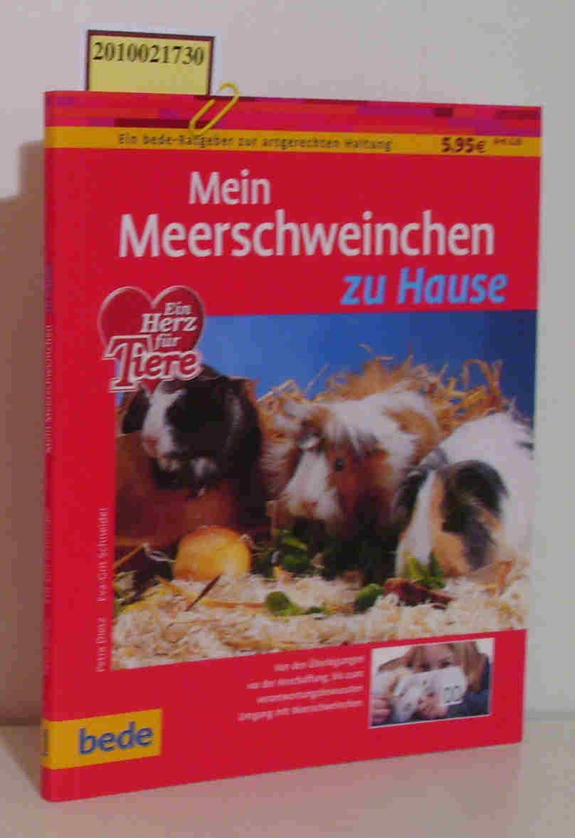 Mein Meerschweinchen zu Hause Pets