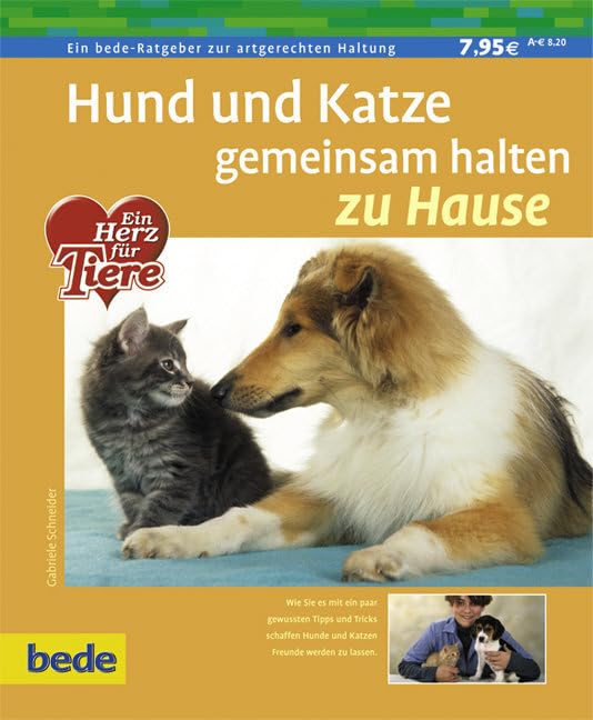 Hund und Katze gemeinsam halten: Es ist einfacher als Sie denken. Hund und Katze können friedlich unter einem Dach wohnen. Mit ein paar Tipps und Tricks werden sie sogar Freunde fürs Leben Pets