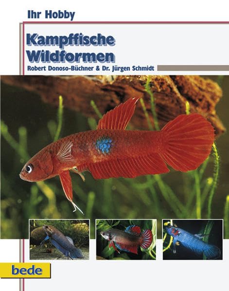 Kampffische Wildformen (Ihr Hobby) Pets