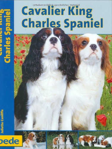 Cavalier King Charles Spaniel, Praxisratgeber Pets