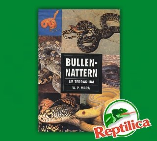 Product Image: Bullennattern