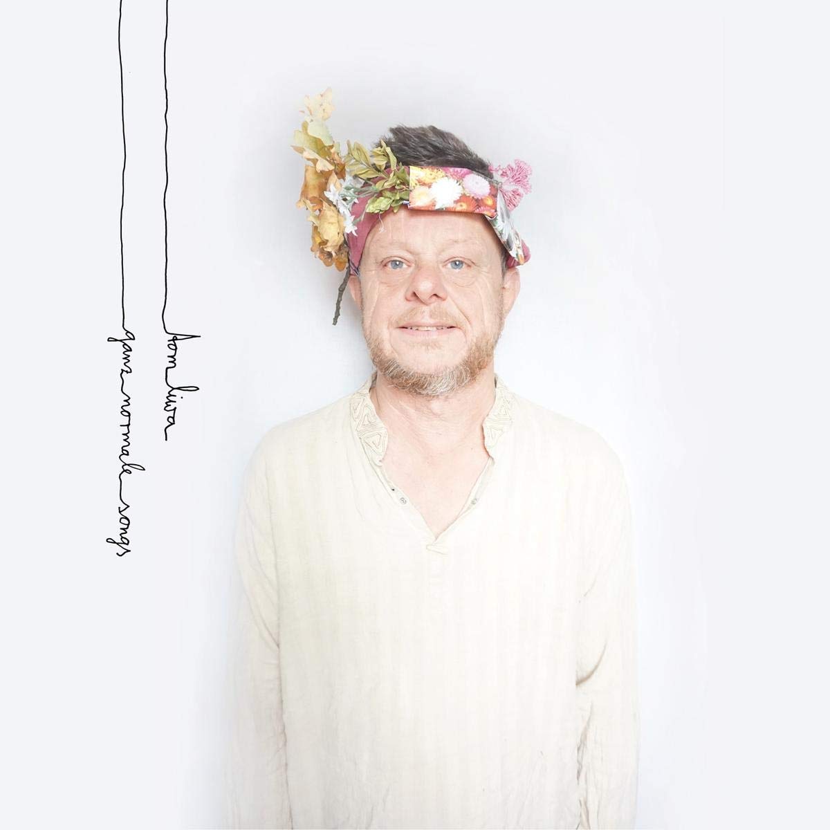 Product Image: Ganz normale Songs