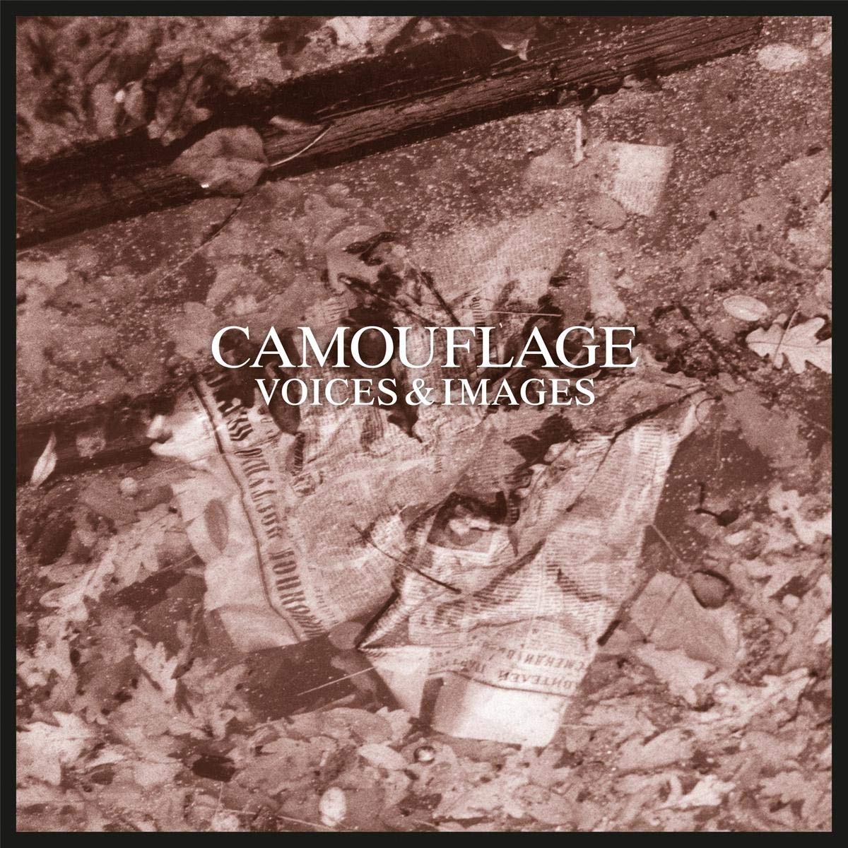 Voices & Images (30 Years Anniversary Limited Edit cd