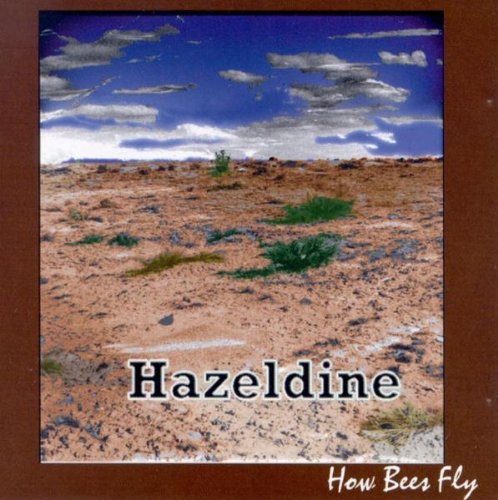 How Bees Fly Alternative & Indie