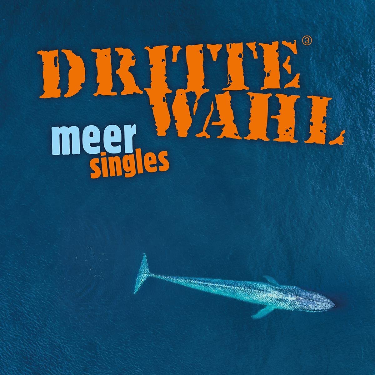 Meer Singles Alternative & Indie