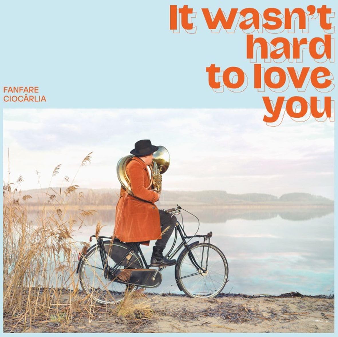 It Wasn'T Hard to Love You World Music