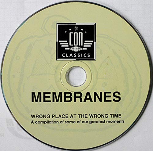 Wrong Place at the Wrong Time Metal & Hardrock
