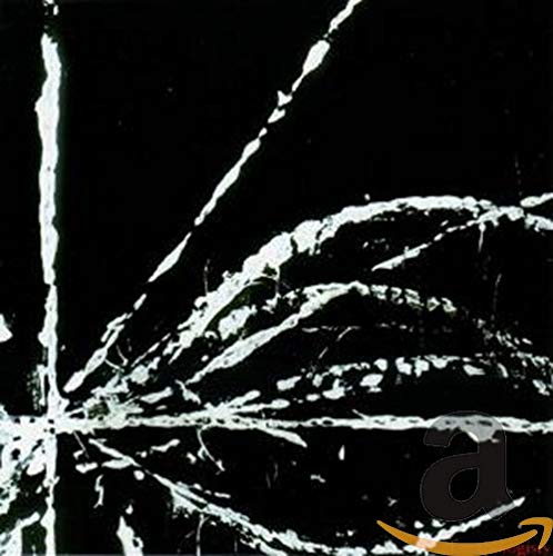 In Free Motion Rock