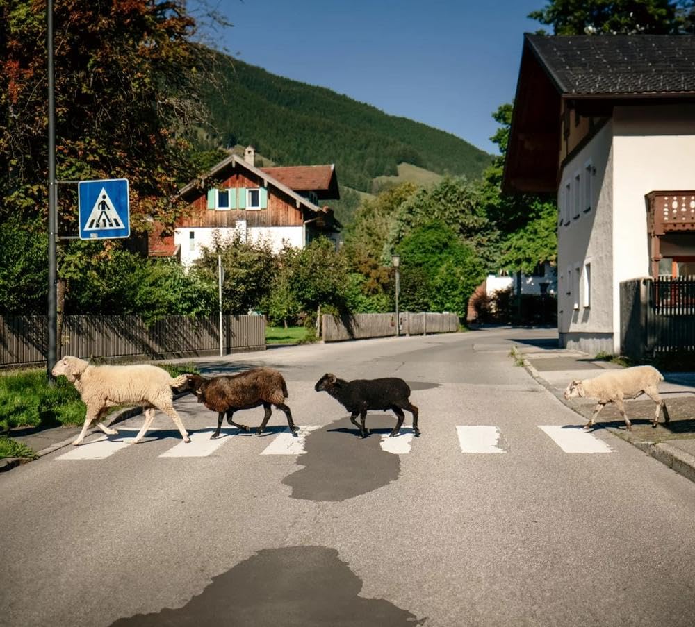 I Mecht An Landla Hean Pop