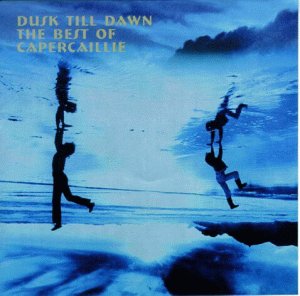 Dusk Till Dawn-the Best of Pop