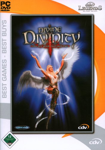 Divine Divinity PC