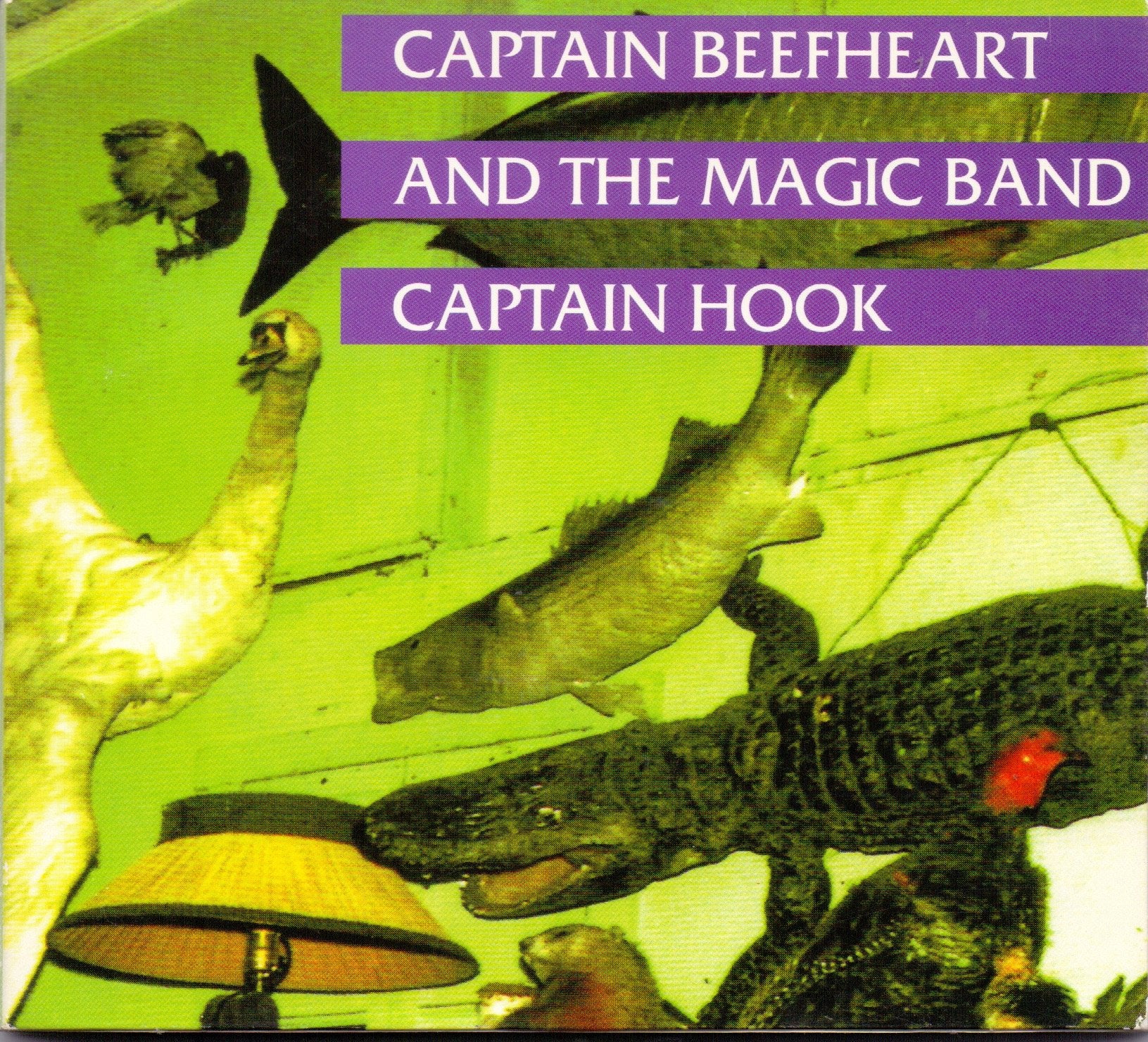 Captain Hook Music
