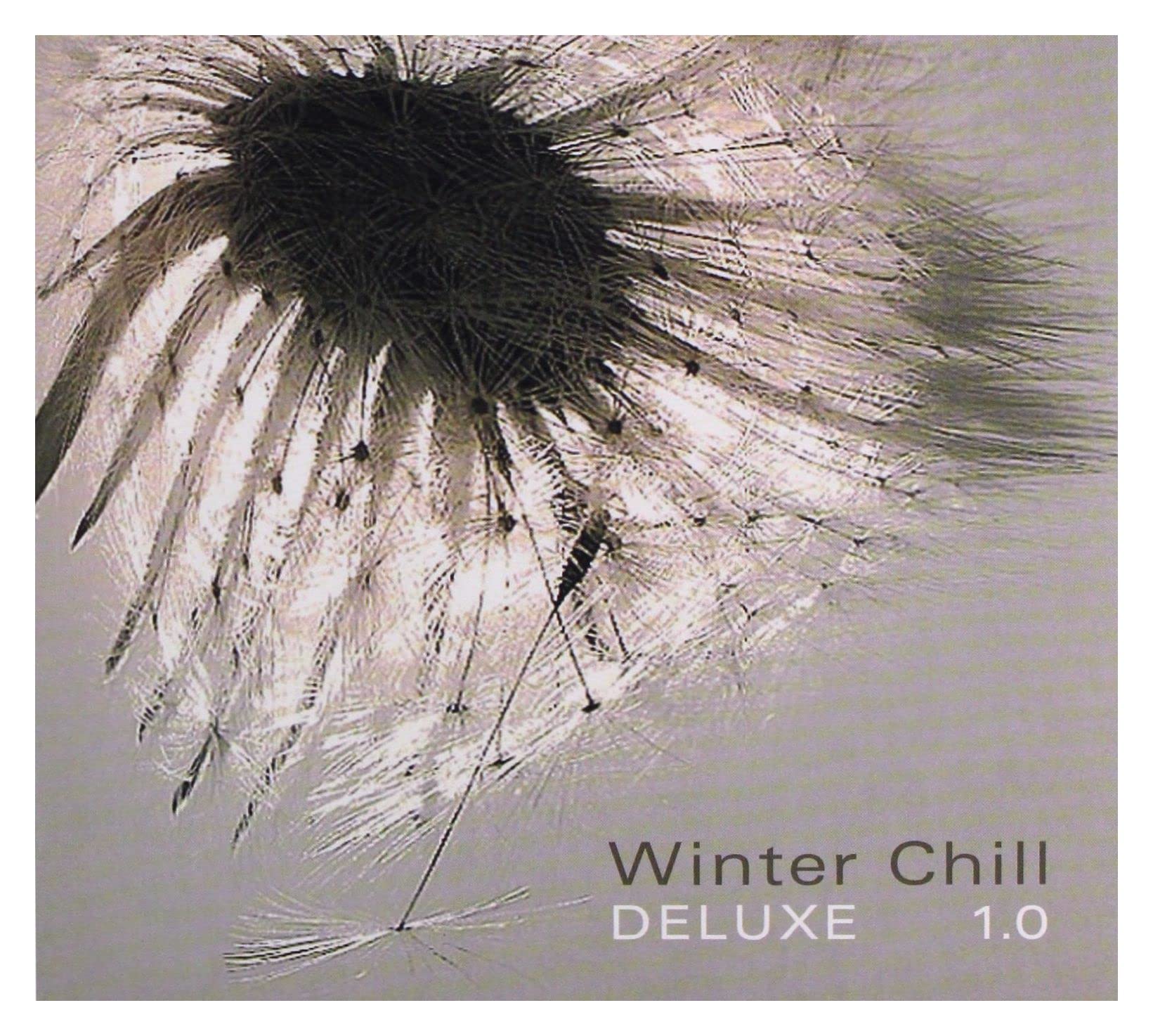 Winter Chill Deluxe 1.0 Dance & Electronic