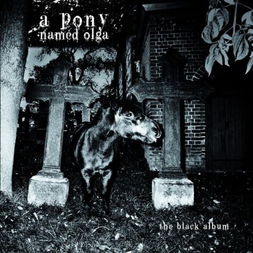 The Black Album Alternative & Indie
