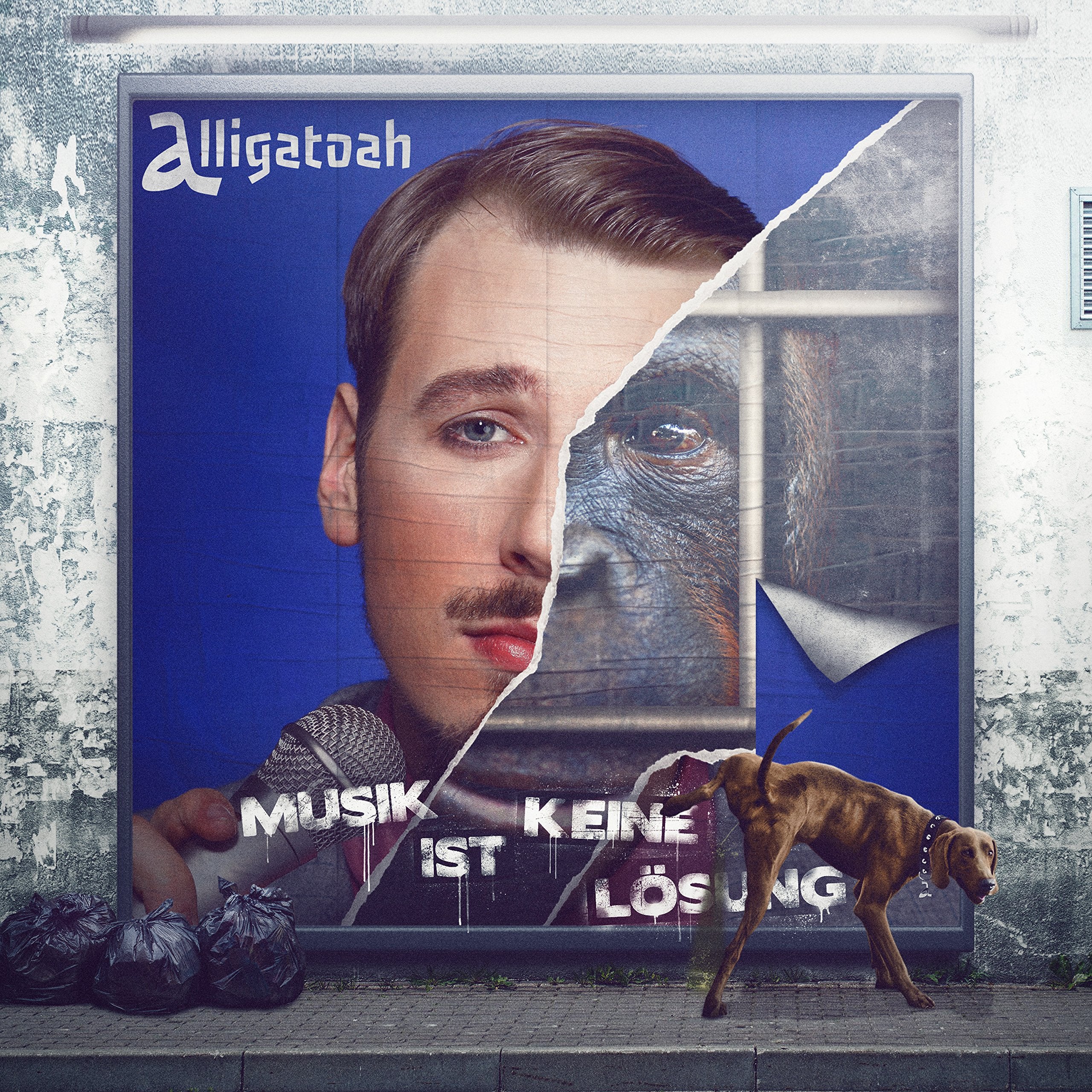 Musik Ist Keine Lösung (Ltd.Edt.2lp Gatefold+CD) Rap & Hip-Hop
