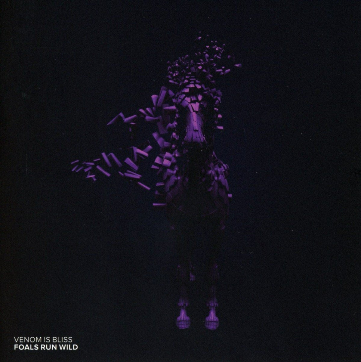 Foals Run Wild Pop