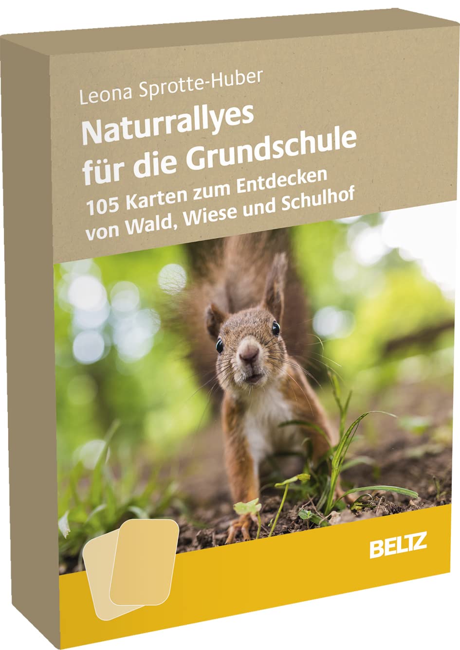 Naturrallyes für die Grundschule: 105 Karten zum Entdecken von Wald, Wiese und Schulhof Education & Training