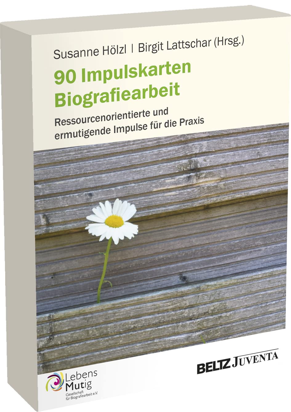 90 Impulskarten Biografiearbeit: Ressourcenorientierte und ermutigende Impulse für die Praxis Social Sciences