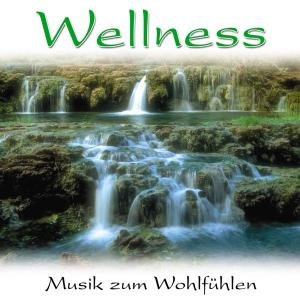 Wellness, 1 Audio-CD (Best.-Nr.5207): Musik zum Wohlfühlen Lifestyle