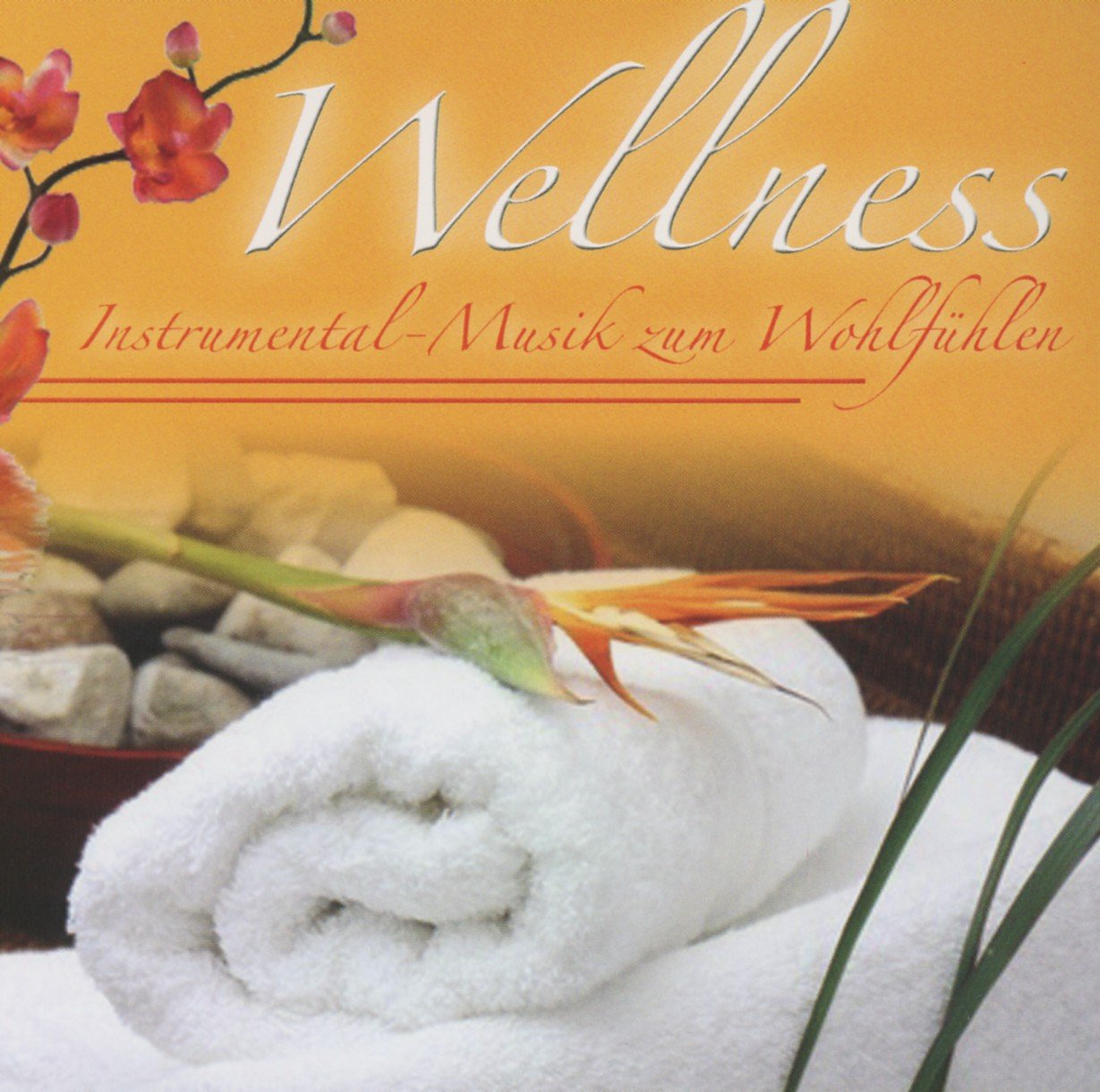 Wellness-Musik Zum Wohlfühlen Vol.2 Music