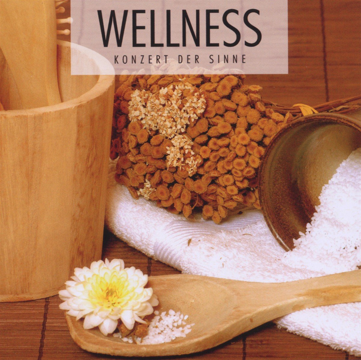 Wellness Musik - Konzert der Sinne, Audio-CD Lifestyle