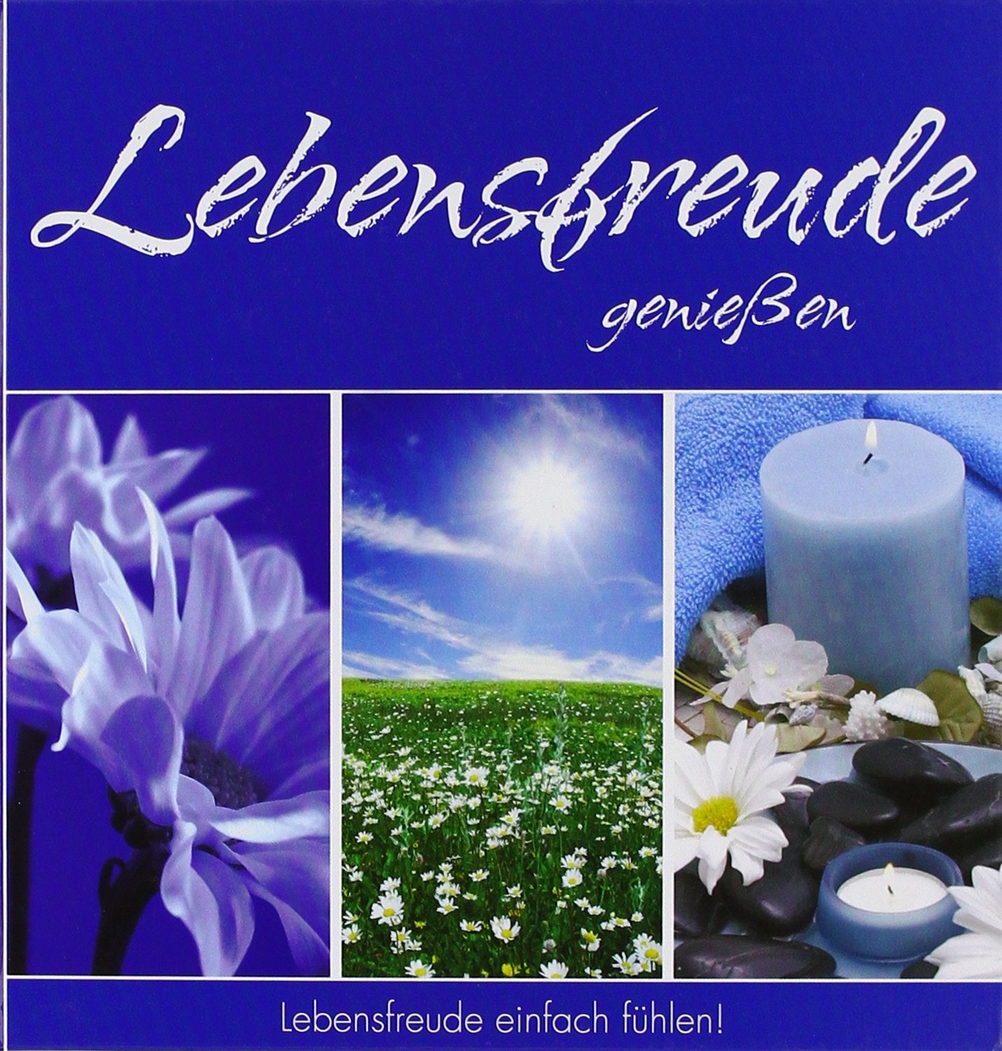 Lebensfreude genießen, 1 Audio-CD + Buch: Lebensfreude einfach fühlen! Lifestyle