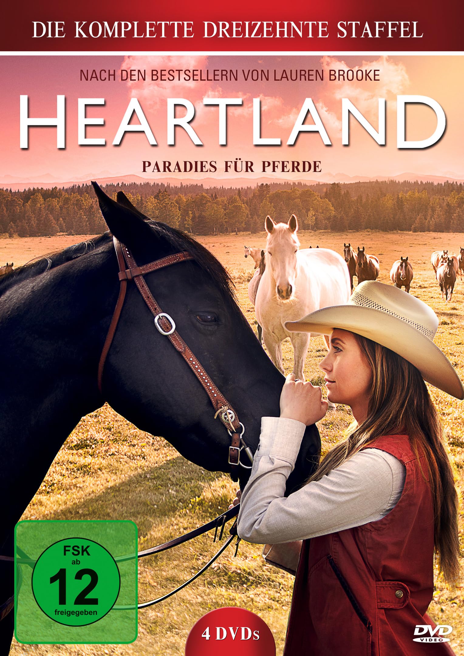 Heartland - Paradies für Pferde - Staffel 13 (Neuauflage) Box sets
