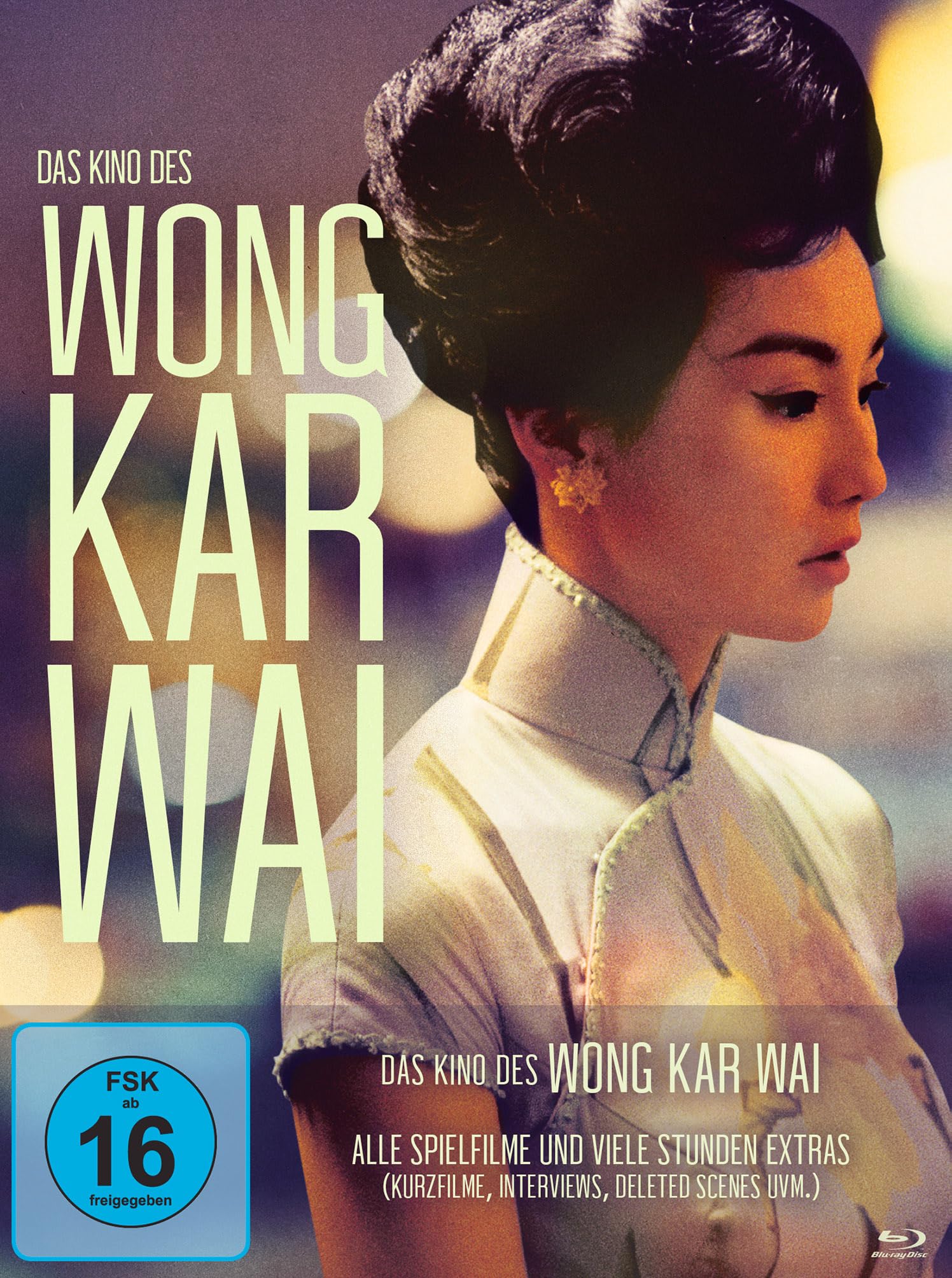 Das Kino des Wong Kar Wai Films