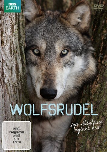 Product Image: Wolfsrudel - Das Abenteuer beginnt hier