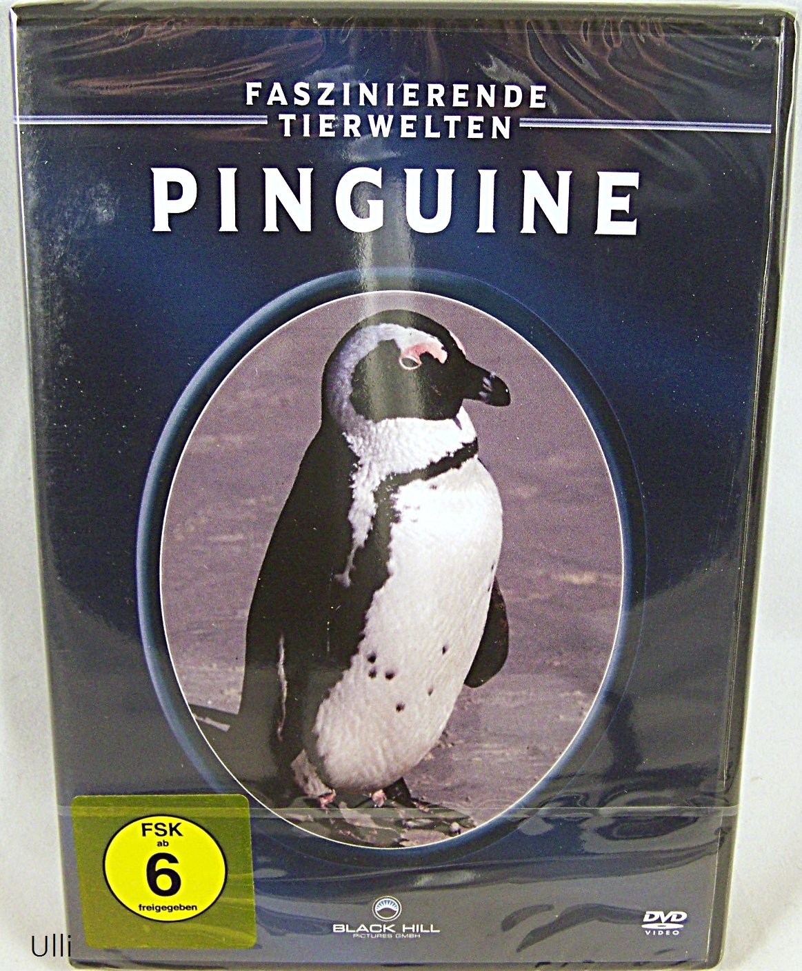 Faszinierende Tierwelten: Pinguine Films