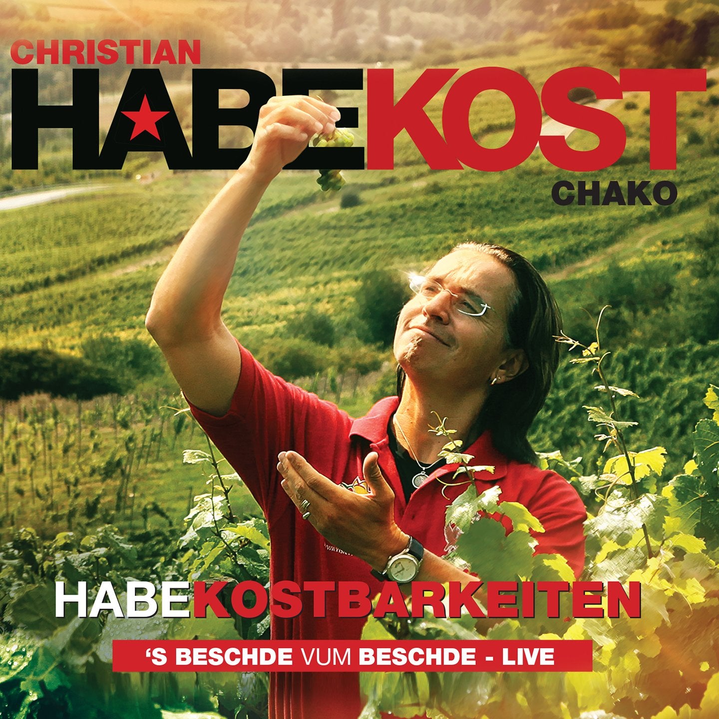 Habekostbarkeiten: ´S Beschde vum Beschde Books