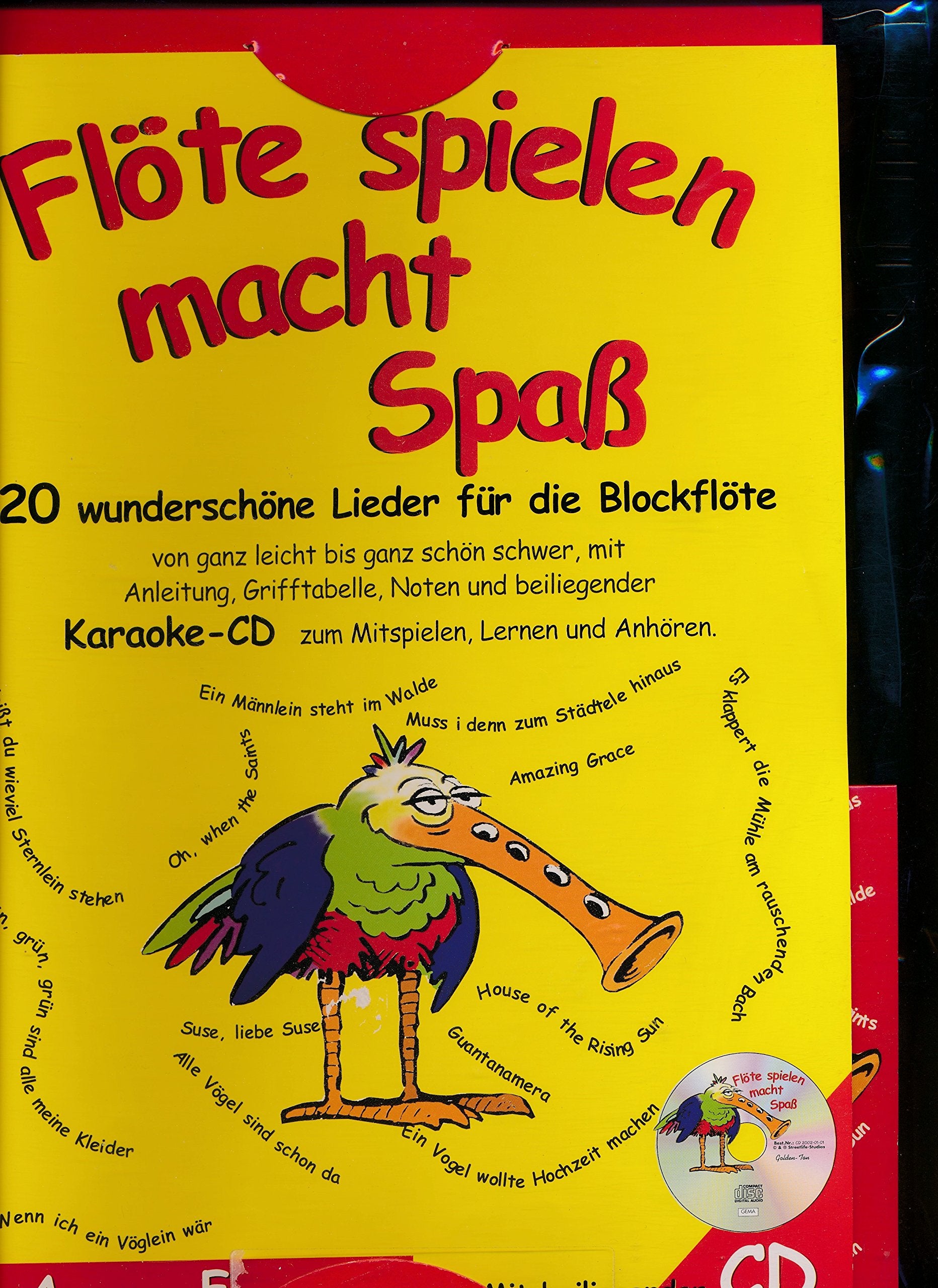 Flöte Spielen Macht Spass Children & Young People