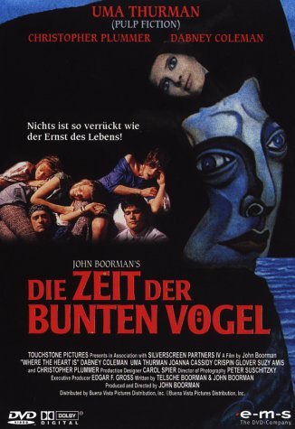 Die Zeit der bunten Vögel Films