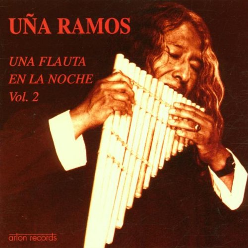Una Flauta en la Noche Vol.2 World Music