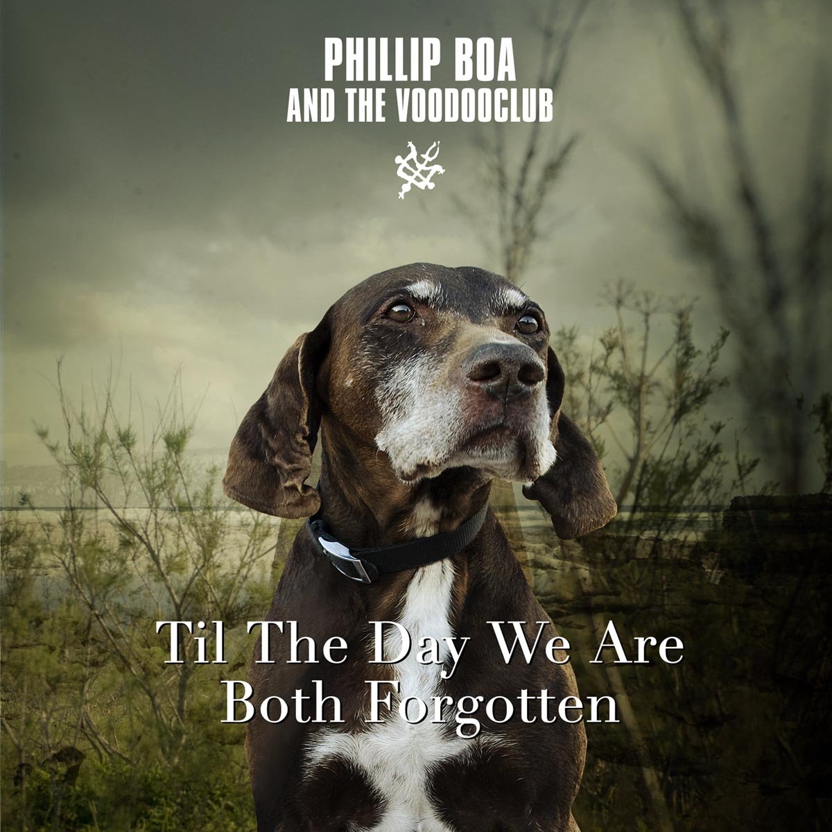 Til The Day We Are Both Forgotten Alternative & Indie