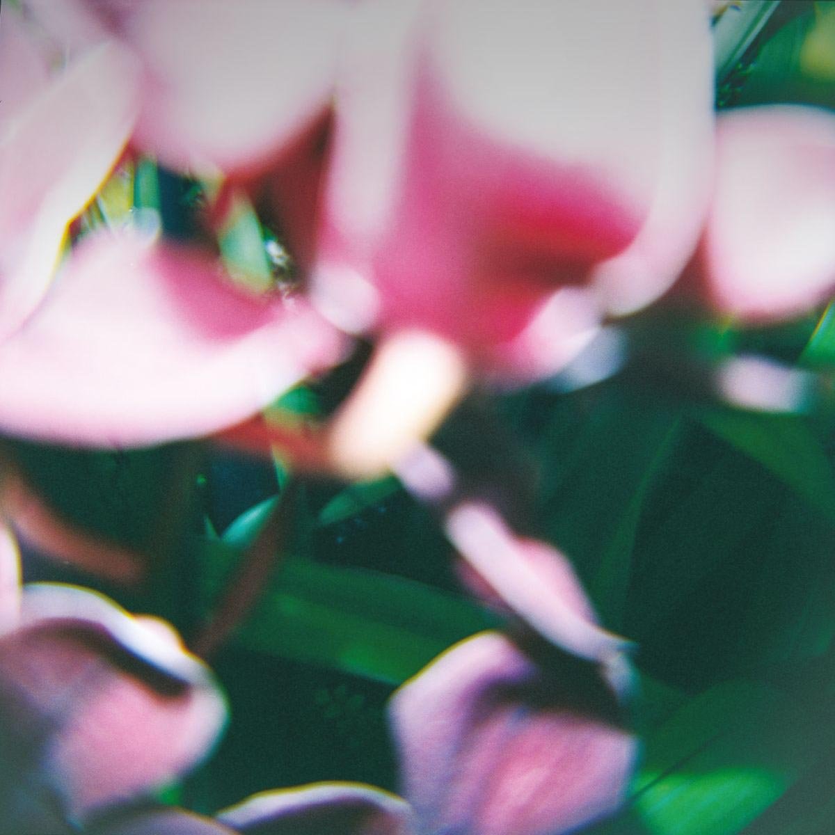 You Make Everything Disappear Alternative & Indie