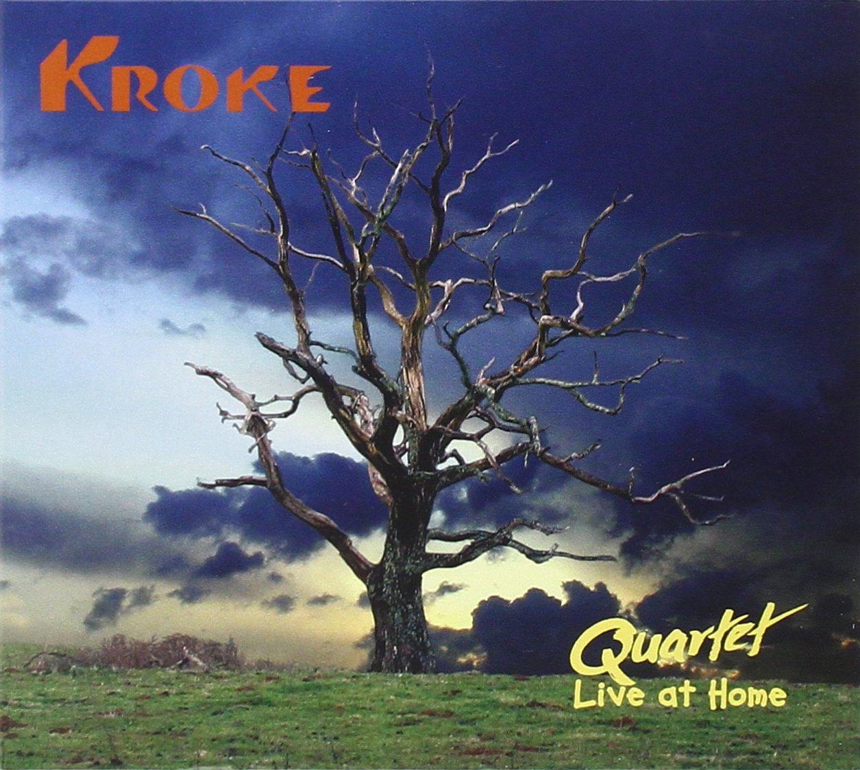 Quartet-Live At Home Country & Folk