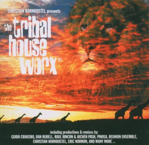 Tribal House Worx Vol.1 Dance & Electronic