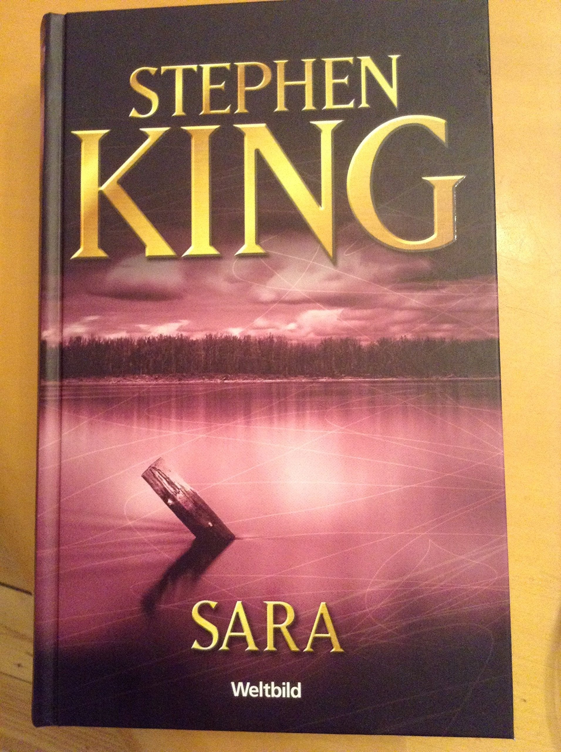 Stephen King Sara Books