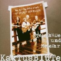 Steinhude und Me(E)Hr Country & Folk