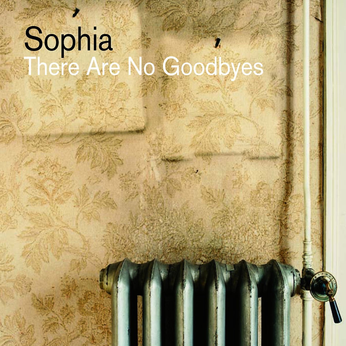 Product Image: There Are No Goodbyes