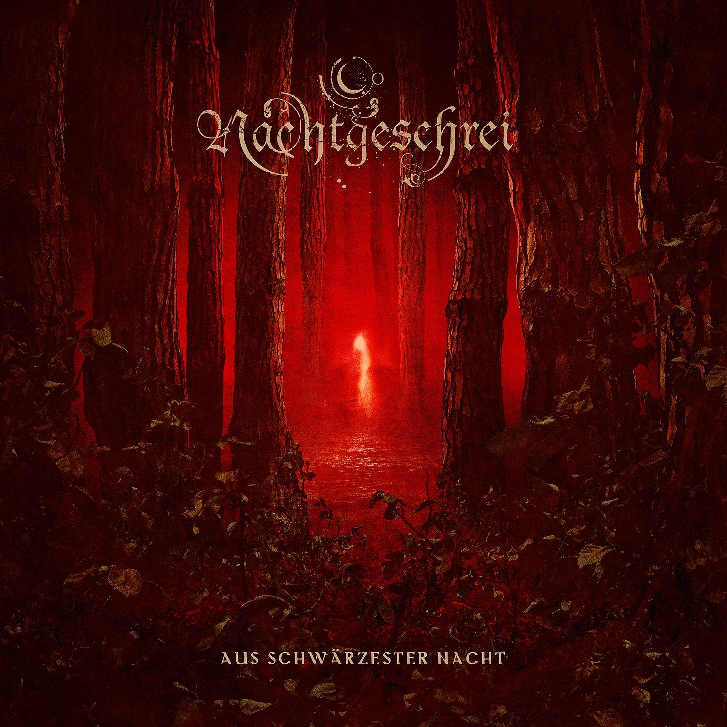 Aus Schwaerzester Nacht Metal & Hardrock