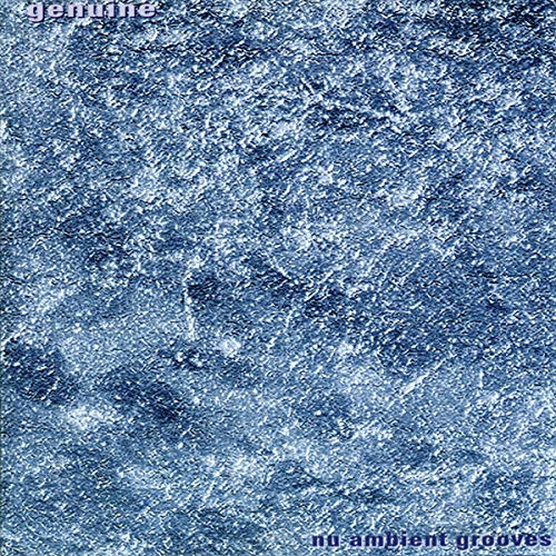 Nu Ambient Grooves Other music genres
