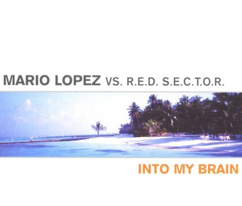 Into My Brain Pop