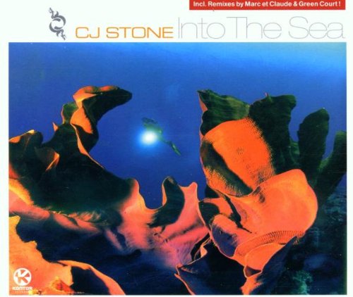 Into the Sea Dance & Electronic