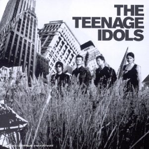 Teenage Idols Pop