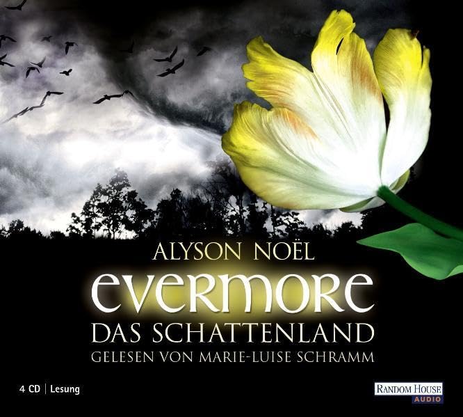 Evermore. Das Schattenland Contemporary literature