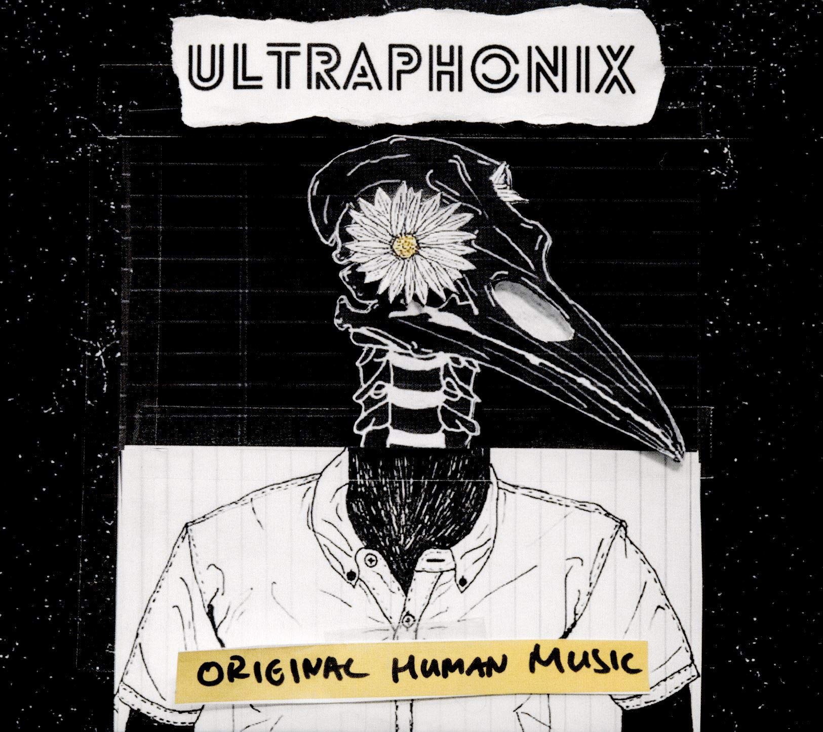 Original Human Music Pop