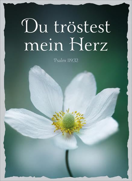 CD-Geschenk-Card Du tröstest mein Herz: Mit CD in Normalgröße und drei Liedern Death & Mourning